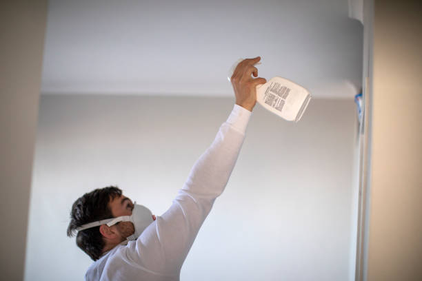 Best Professional Mold Removal  in Brewster Hill, NY