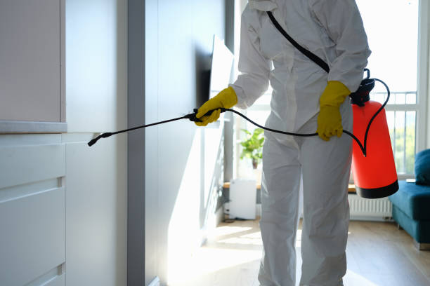 Best Residential Mold Removal  in Brewster Hill, NY