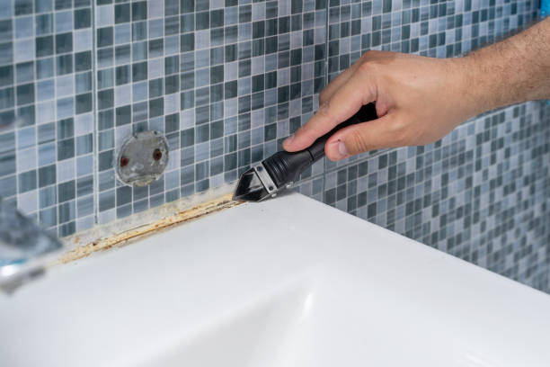 Best Office Mold Removal Services  in Brewster Hill, NY