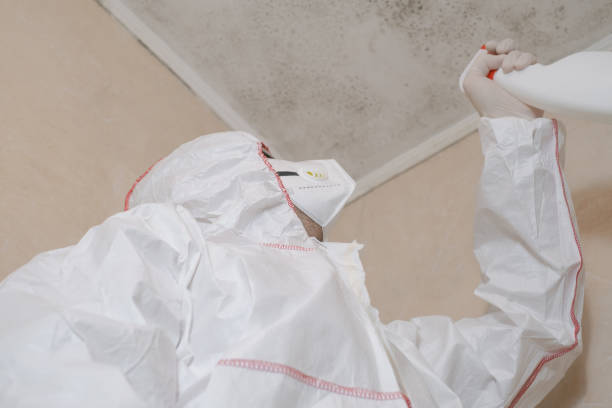 Best Certified Mold Removal  in Brewster Hill, NY