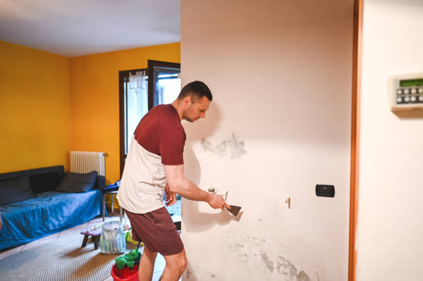 Best Mold Cleaning Services  in Brewster Hill, NY